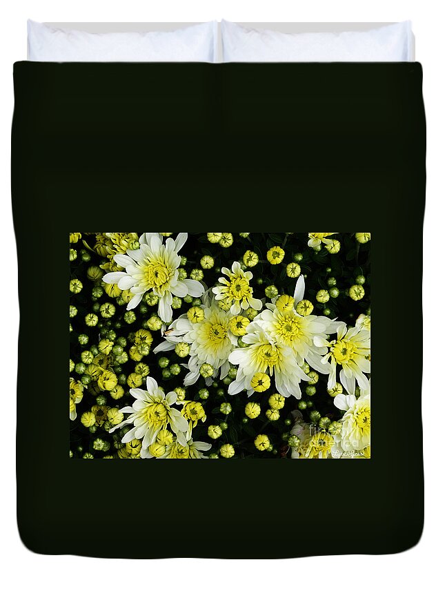 Flowers Duvet Cover featuring the photograph Yellow Mums by Lyric Lucas