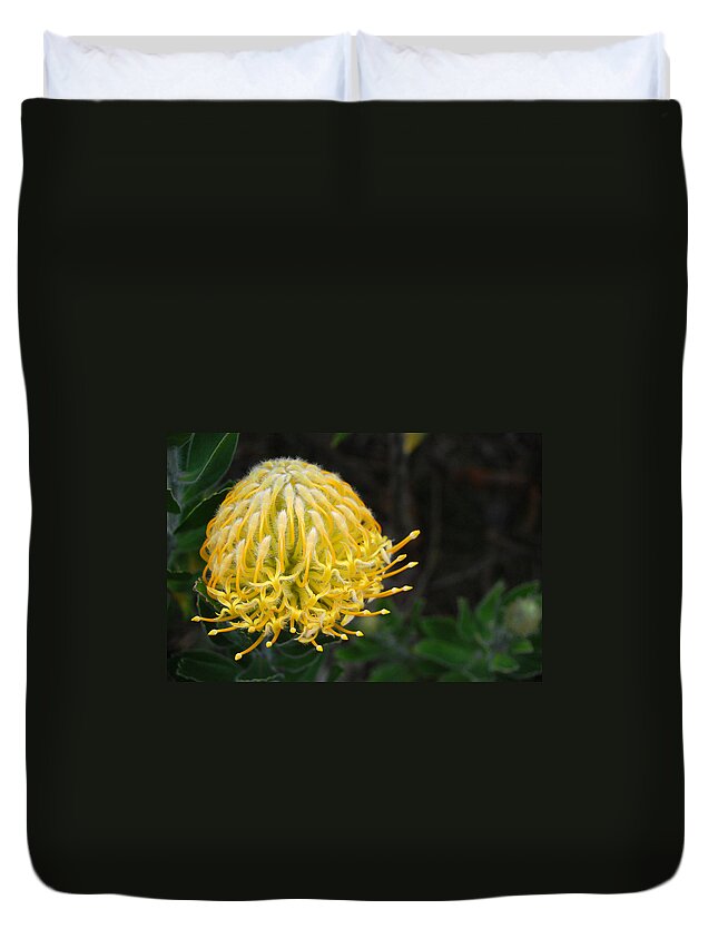 Kula Botanical Gardens Duvet Cover featuring the photograph Yellow Pincushion Protea 1 by Amy Fose