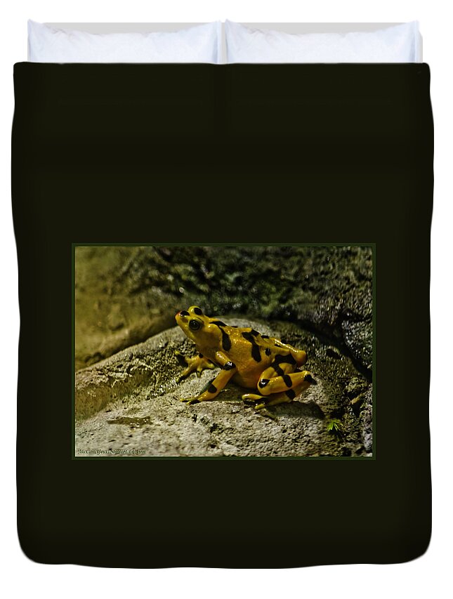 Usa Duvet Cover featuring the photograph Yellow Rock Jumper by LeeAnn McLaneGoetz McLaneGoetzStudioLLCcom