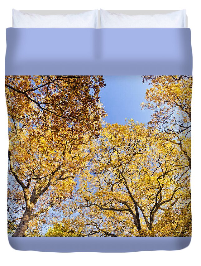 Autumn Duvet Cover featuring the photograph Yellow Trees by Maj Seda