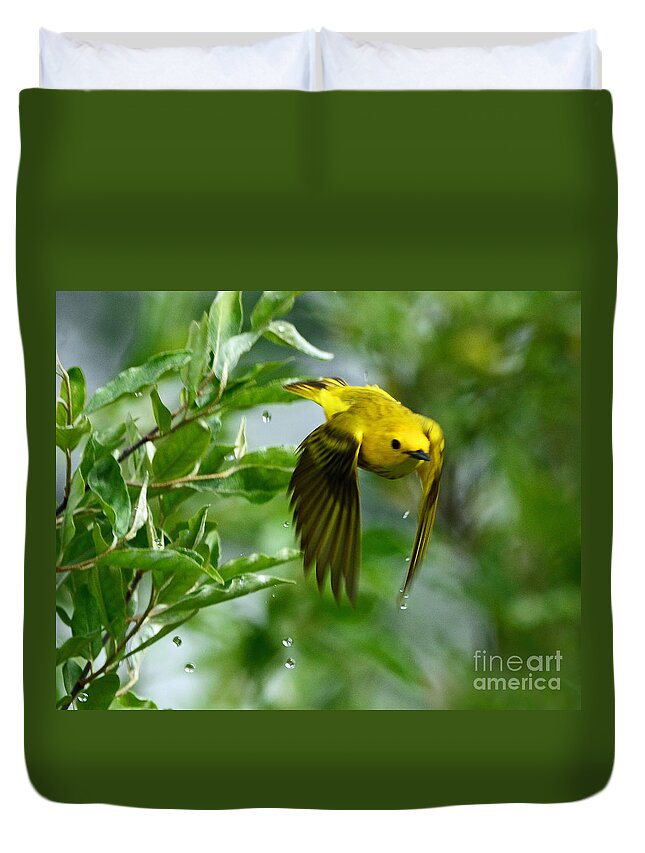 Bird Duvet Cover featuring the photograph Yellow Warbler Takes Flight by Rodney Campbell