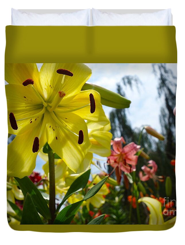 Yellow Whopper Duvet Cover featuring the photograph Yellow Whopper Lily 1 by Jacqueline Athmann