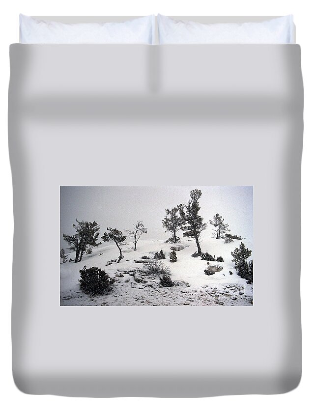 Winter Duvet Cover featuring the photograph Yellowstone Winter Blanket by Sharon Elliott