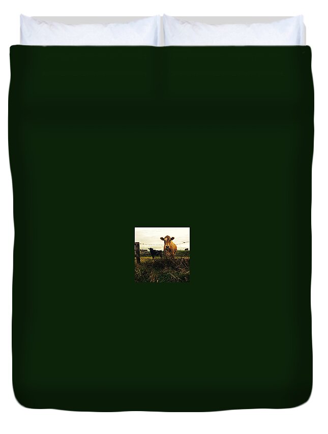 Farm Duvet Cover featuring the photograph Yes? by Aleck Cartwright
