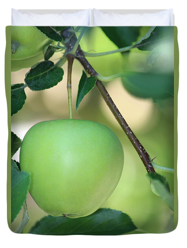 Apples Duvet Cover featuring the photograph You are the apple of my eye by The Art Of Marilyn Ridoutt-Greene