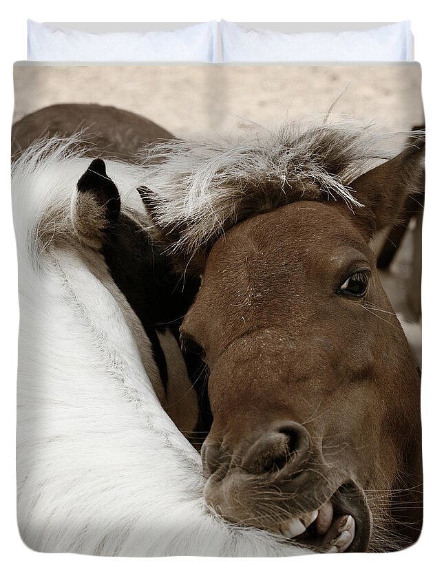 Horses Duvet Cover featuring the photograph You Scratch Mine by Carol Lynn Coronios