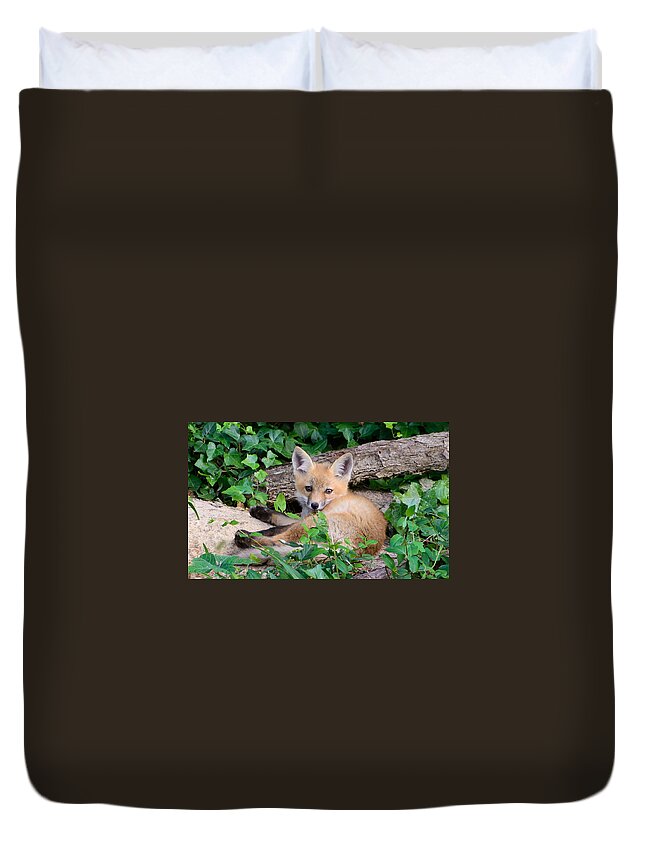 Young Duvet Cover featuring the photograph Naptime by Stacy Abbott
