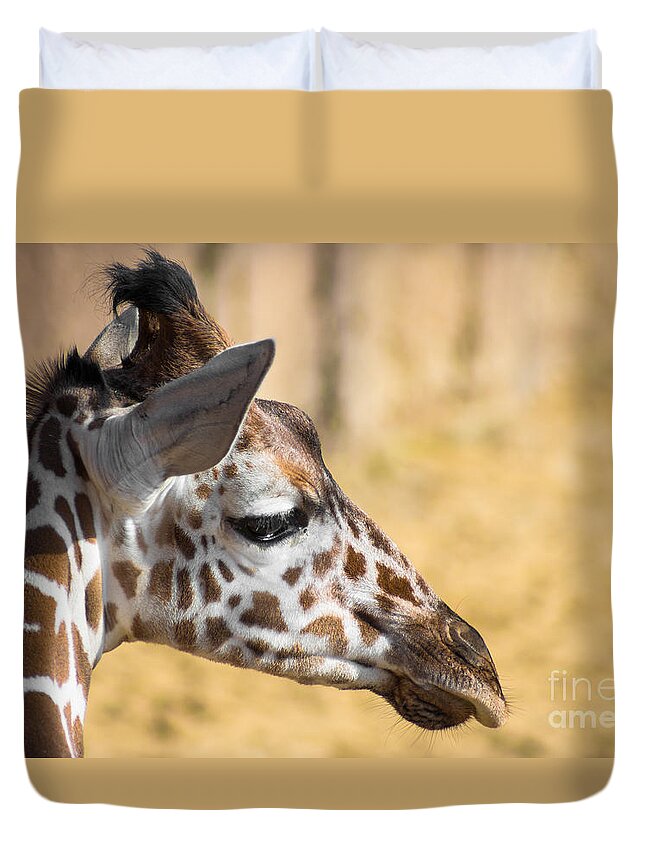 Young Giraffe Duvet Cover featuring the photograph Young Giraffe by Imagery by Charly