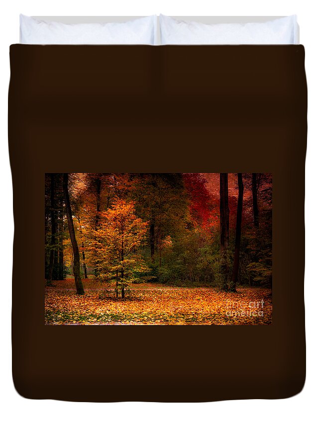 Autumn Duvet Cover featuring the photograph Youth by Hannes Cmarits