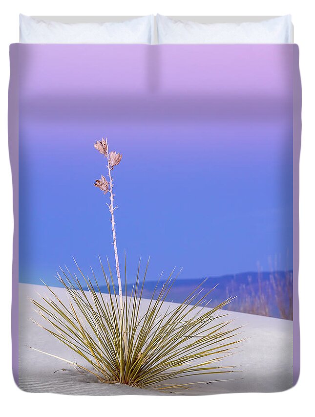 Yucca Duvet Cover featuring the photograph Yucca Pink and Blue by Kristal Kraft