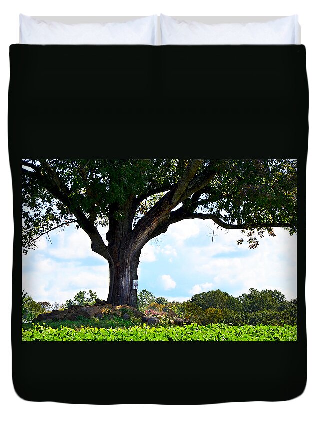 Alstede Farm Duvet Cover featuring the photograph Yum Yum Tree by Maureen E Ritter