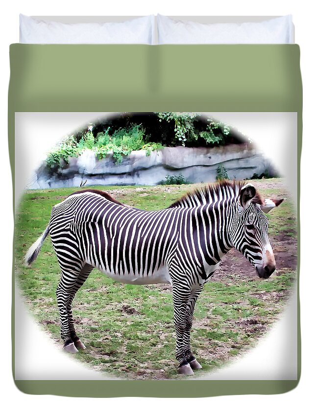 Zebra Duvet Cover featuring the photograph Zebra 1 by Dawn Eshelman
