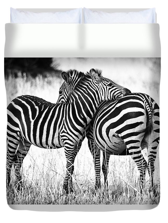 Zebra Love Duvet Cover For Sale By Adam Romanowicz