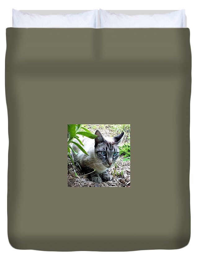 Duane Mccullough Duvet Cover featuring the photograph Zing the Cat in the Garden by Duane McCullough