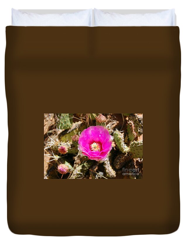 Zion National Park Duvet Cover featuring the photograph Zion Pink Cactus Flower by Debra Thompson