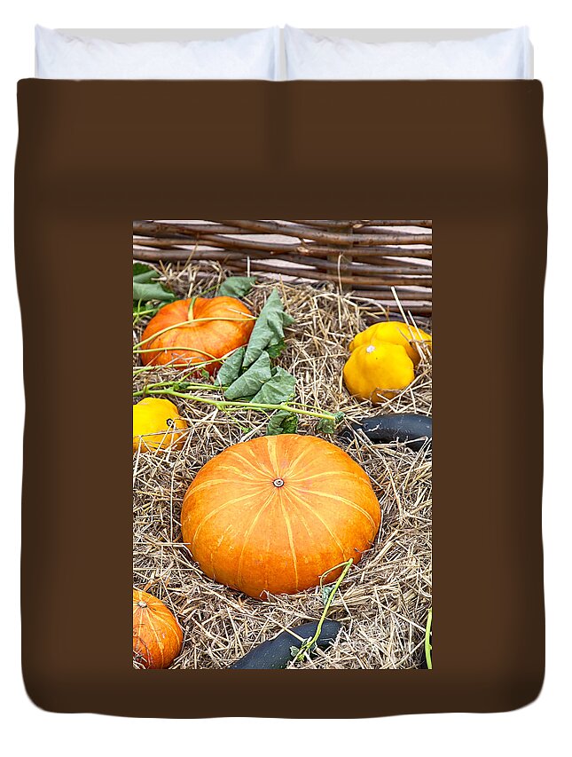 Autumn Duvet Cover featuring the photograph Zucchini and pumpkins by Sophie McAulay
