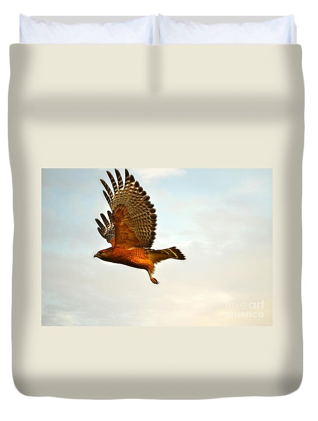 Landscape Duvet Cover featuring the photograph Majestic Red Shoulder Hawk by Peggy Franz