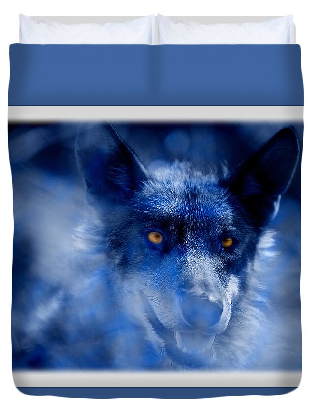 Wolf Duvet Cover featuring the photograph Wolf by Mal Bray