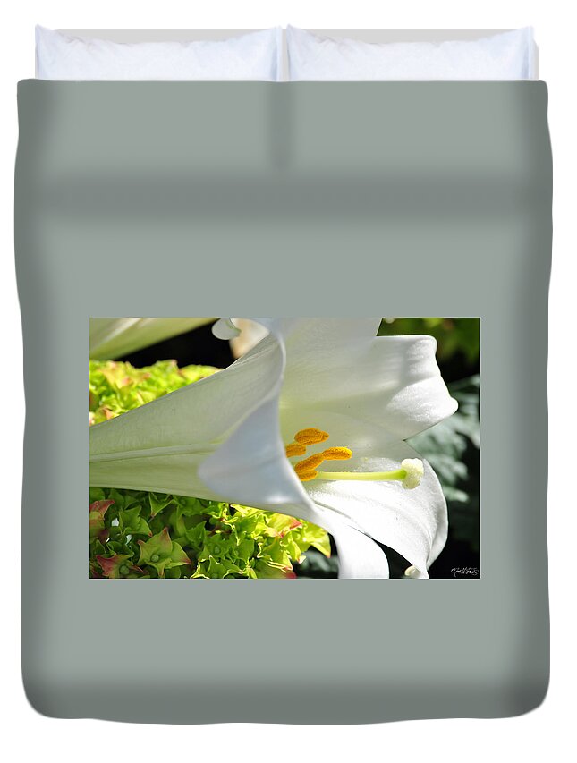  Duvet Cover featuring the photograph 0019 Botanical Gardens Buffalo NY Series Gardens by Michael Frank Jr
