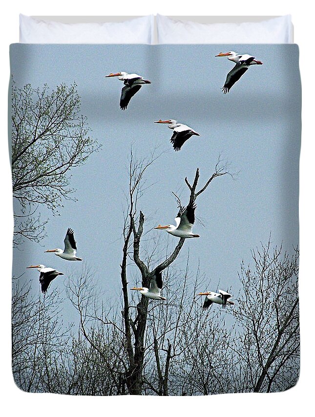 Color Photography Duvet Cover featuring the photograph American White Pelicans #1 by Sue Stefanowicz