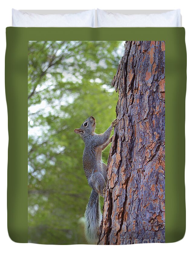 Squirrel Duvet Cover featuring the photograph Arizona Grey Squirrel #1 by Donna Greene