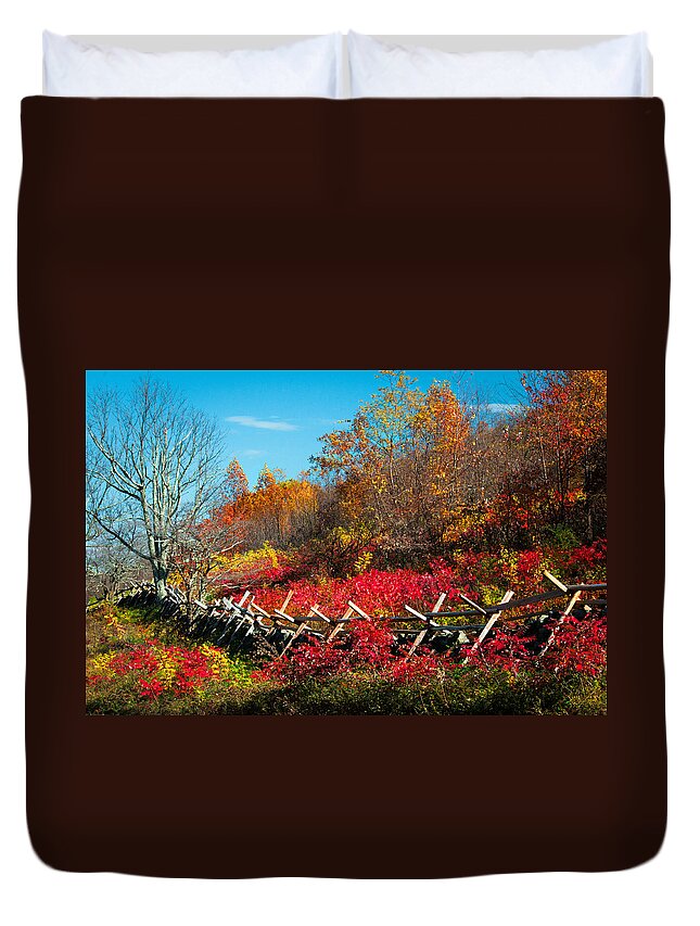 Forests Duvet Cover featuring the photograph Beyond Boundaries by Lynn Bauer