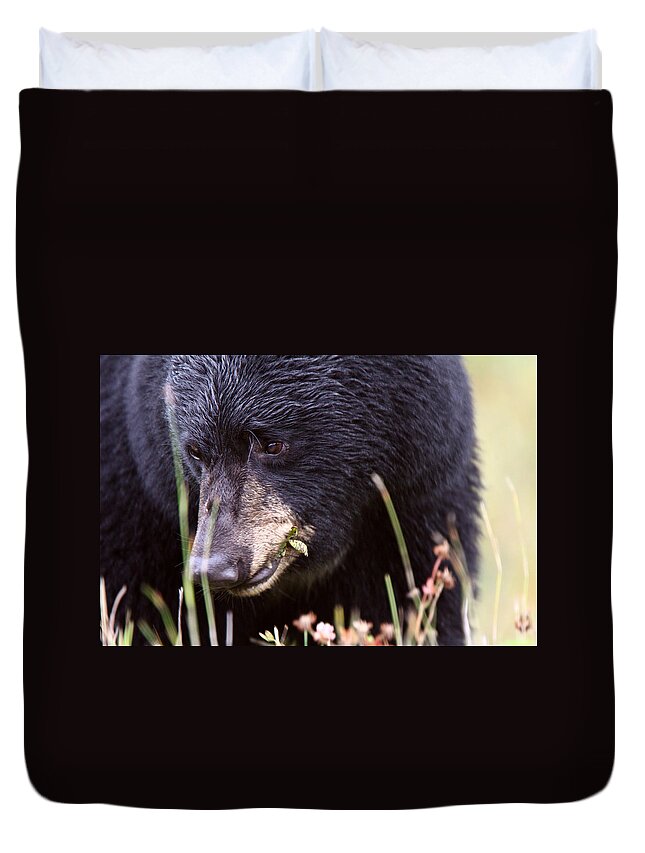 Black Bear Duvet Cover featuring the photograph Black Bear along British Columbia highway #1 by Mark Duffy