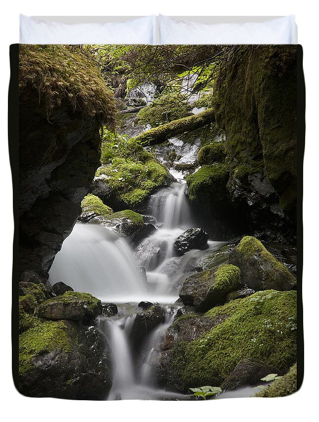 Mp Duvet Cover featuring the photograph Cascading Creek In Temperate Rainforest #1 by Matthias Breiter