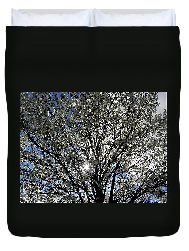Cherry Blossom Duvet Cover featuring the photograph Cherry Blossoms by Kim Galluzzo Wozniak