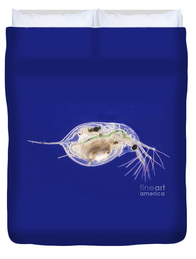 Light Microscopy Duvet Cover featuring the photograph Daphnia #1 by M. I. Walker