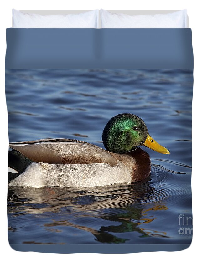 Nature Duvet Cover featuring the photograph Duck On The Water #1 by Michal Boubin