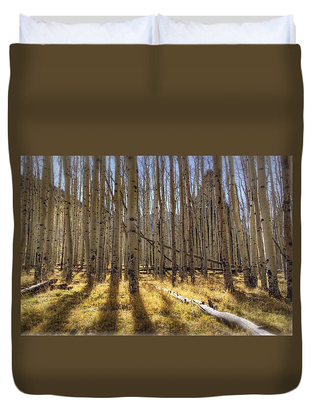 Fall Colors Duvet Cover featuring the photograph Fall on the Mountain #1 by Saija Lehtonen