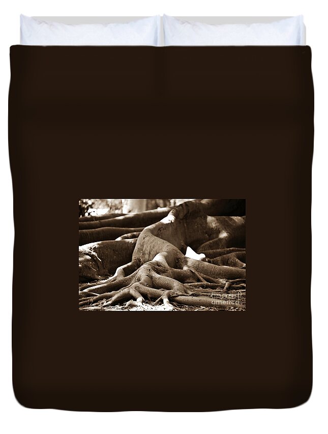 Roots Of Fig Tree Shot Low In Sepia. Duvet Cover featuring the photograph Fig Tree Roots #1 by Angela Murray
