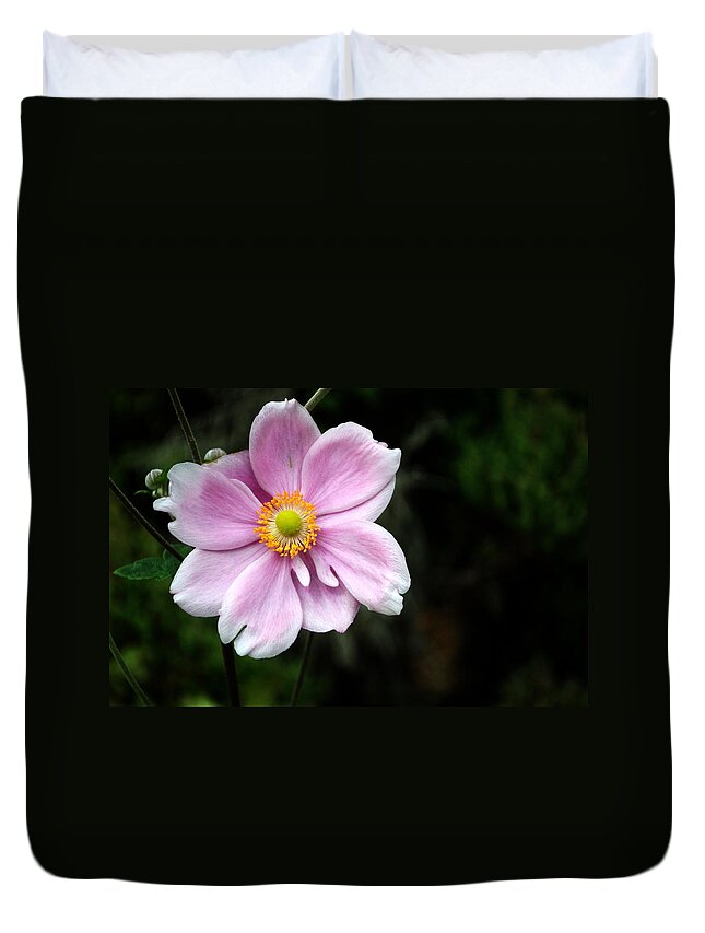 Geum Duvet Cover featuring the photograph Geum #1 by Chris Day