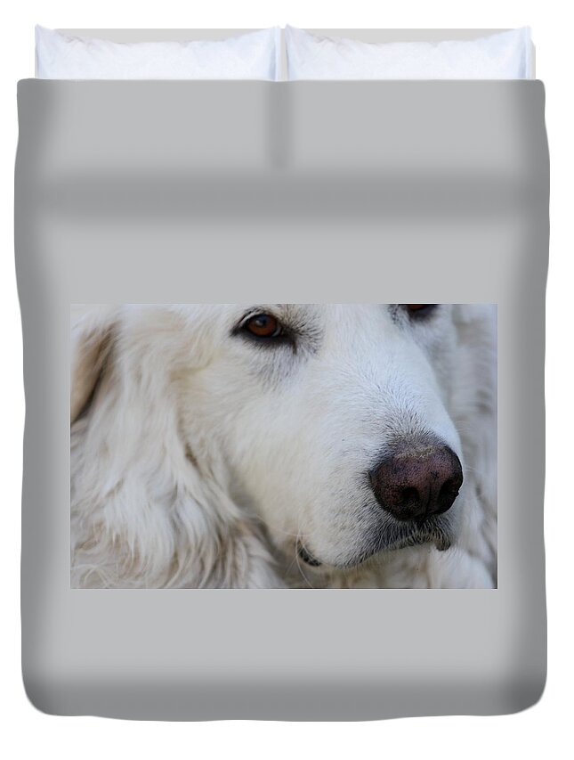 Dog Duvet Cover featuring the photograph Great Pyrenees by Kim Galluzzo Wozniak