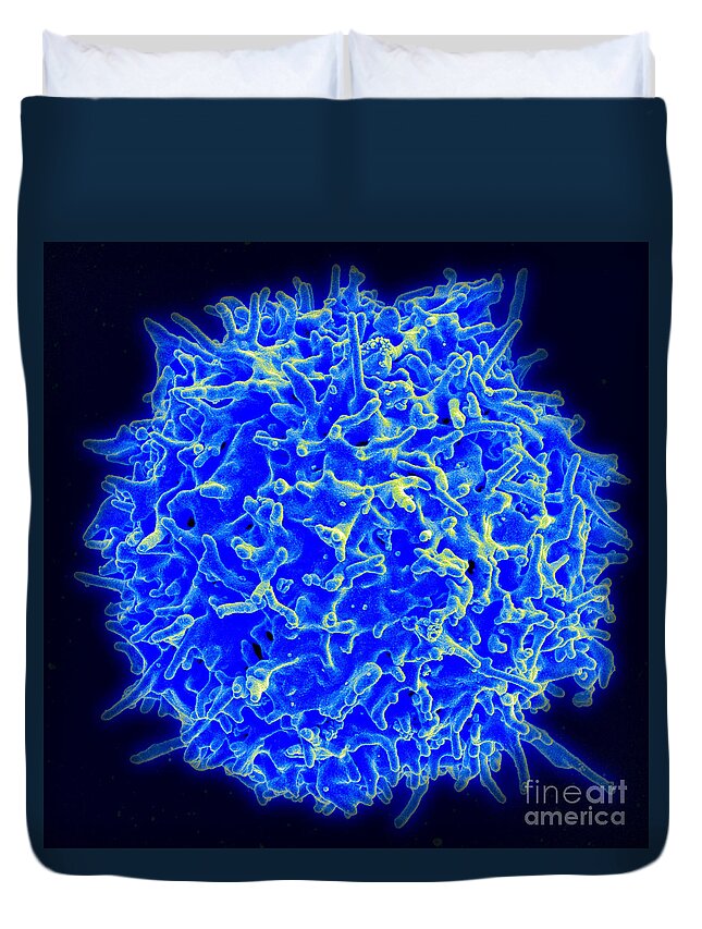 Biology Duvet Cover featuring the photograph Healthy Human T Cell, Sem #1 by Science Source