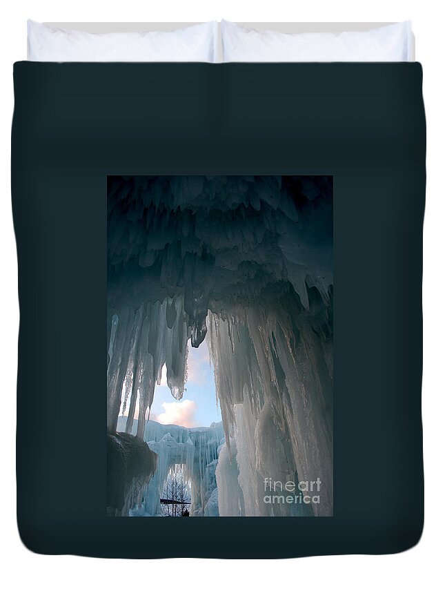 Ice Duvet Cover featuring the photograph Iced #1 by Anjanette Douglas