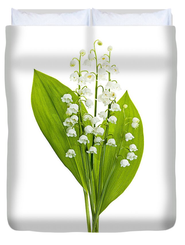 Flower Duvet Cover featuring the photograph Lily-of-the-valley flowers #4 by Elena Elisseeva