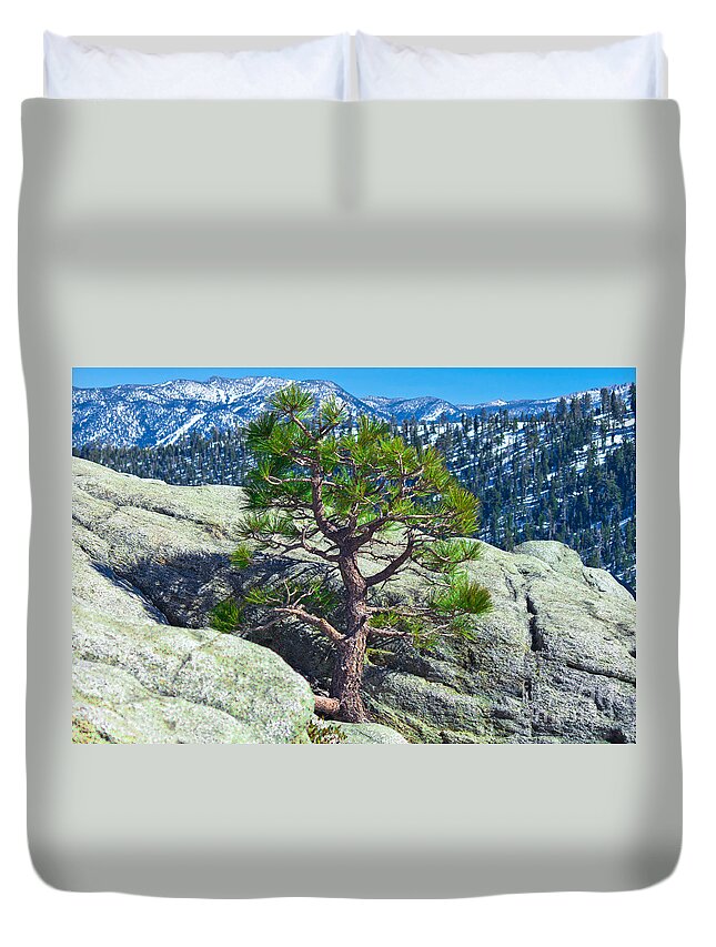 Pine Tree Duvet Cover featuring the photograph Living Above the Circumstances #1 by L J Oakes