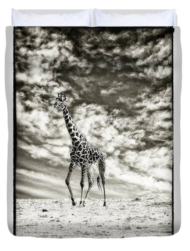 Africa Duvet Cover featuring the photograph Male Giraffe #2 by Perla Copernik