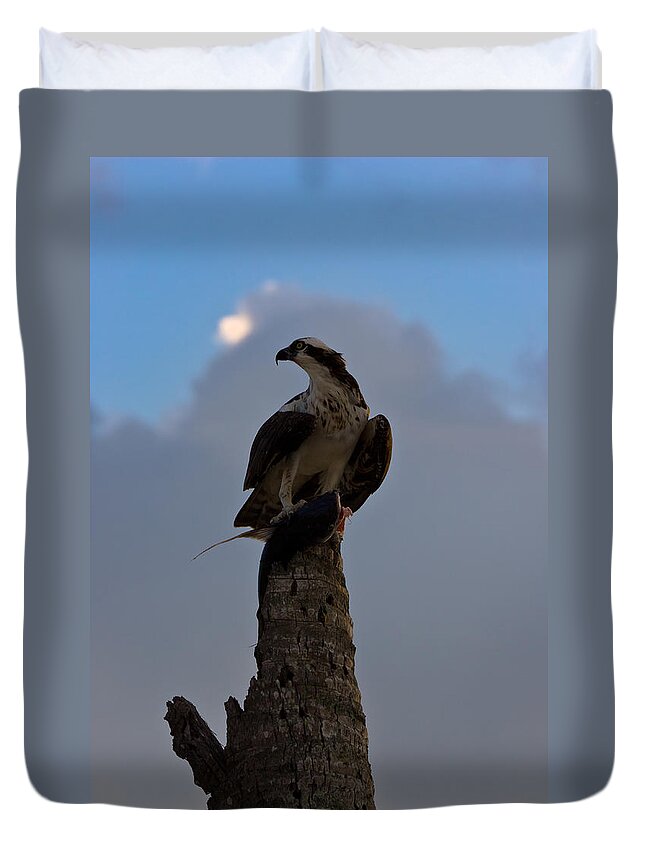 Bird Duvet Cover featuring the photograph Osprey with Catch #1 by Ed Gleichman