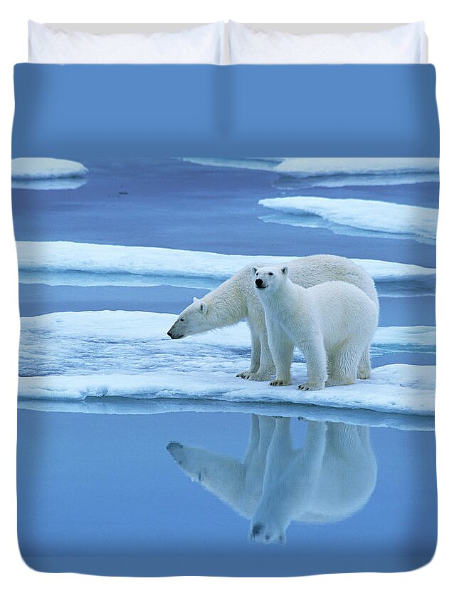 Fn Duvet Cover featuring the photograph Polar Bear Ursus Maritimus Pair On Ice #1 by Rinie Van Meurs