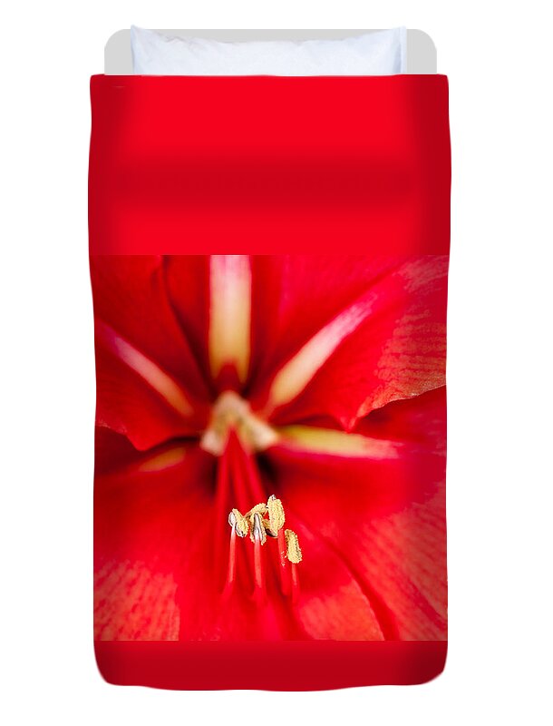 Dreamy Duvet Cover featuring the photograph Red Amaryliss #1 by Les Palenik