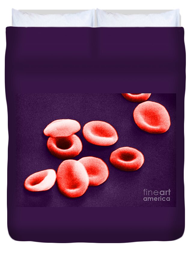 Red Blood Cell Duvet Cover featuring the photograph Red Blood Cells, Sem #1 by Omikron