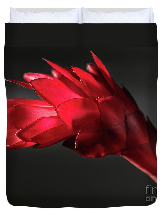 Red Ginger Duvet Cover featuring the photograph Red Ginger Alpinia Purpurata Flower #1 by Maxim Images Exquisite Prints