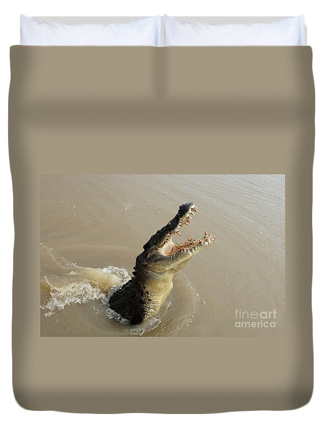 Salt Water Crocodile Duvet Cover featuring the photograph Salt Water Crocodile 2 #1 by Bob Christopher