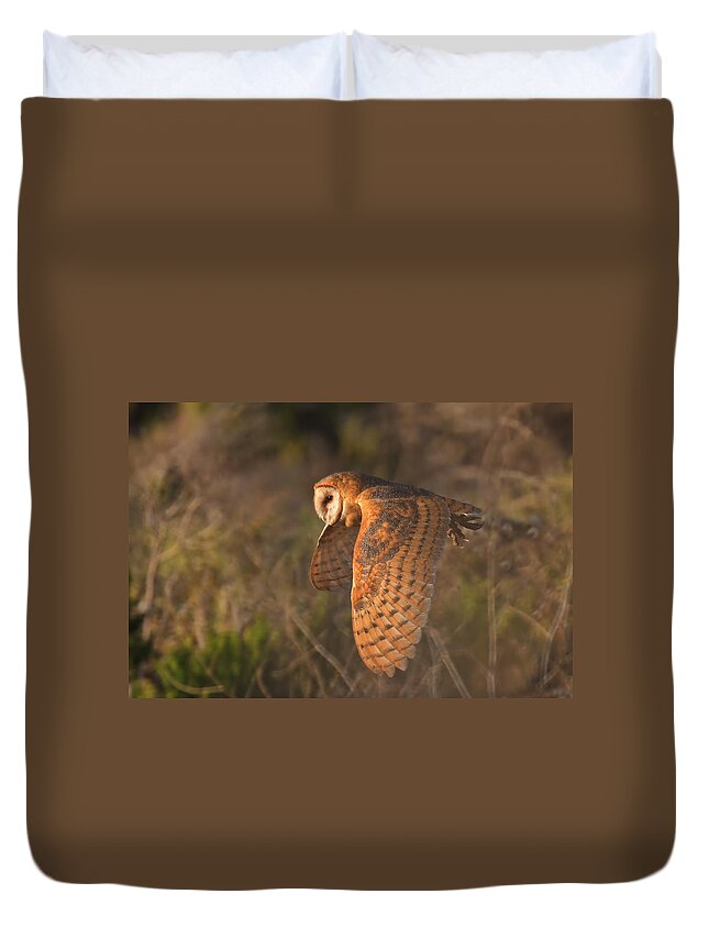 Barn Owl Duvet Cover featuring the photograph Silent Hunter by Beth Sargent