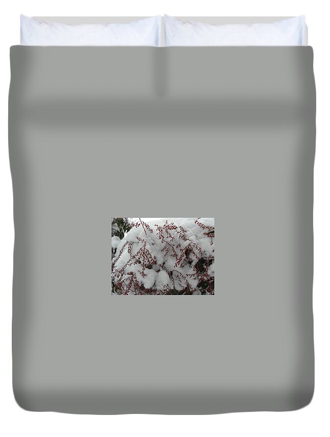 Snow Duvet Cover featuring the photograph Snow Covered by Kim Galluzzo Wozniak