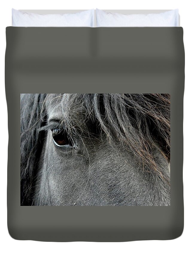 Friesian Duvet Cover featuring the photograph Such Beauty #1 by Kim Galluzzo