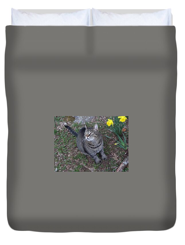 Cat Duvet Cover featuring the photograph Take The Picture #1 by Kim Galluzzo
